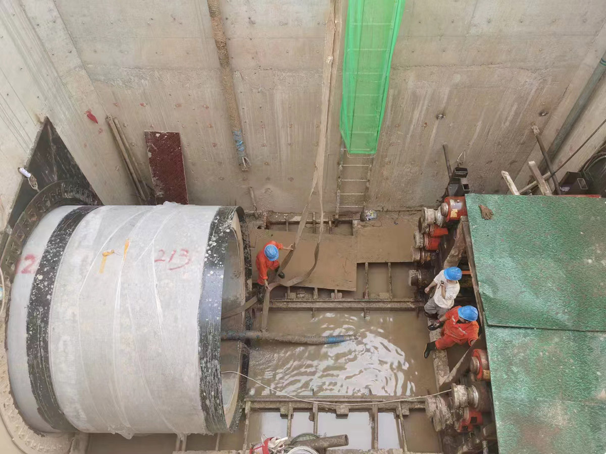 671685004416706.jpg 8.jpg